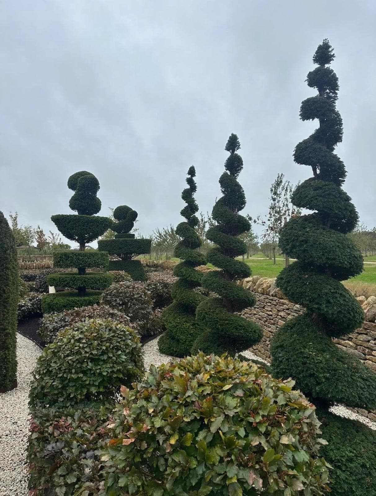 Collection of spiral and bespoke topiary specimens at Hedgeworx