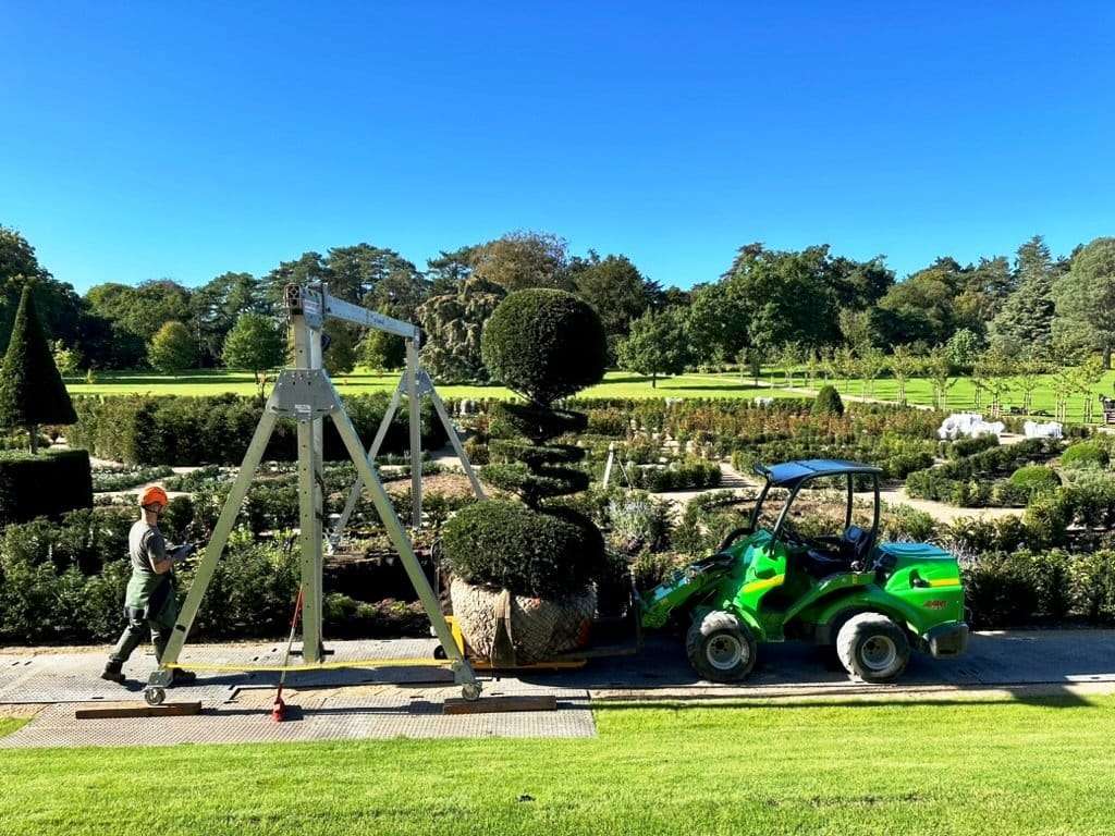Professional tree planting by the Hedgeworx team
