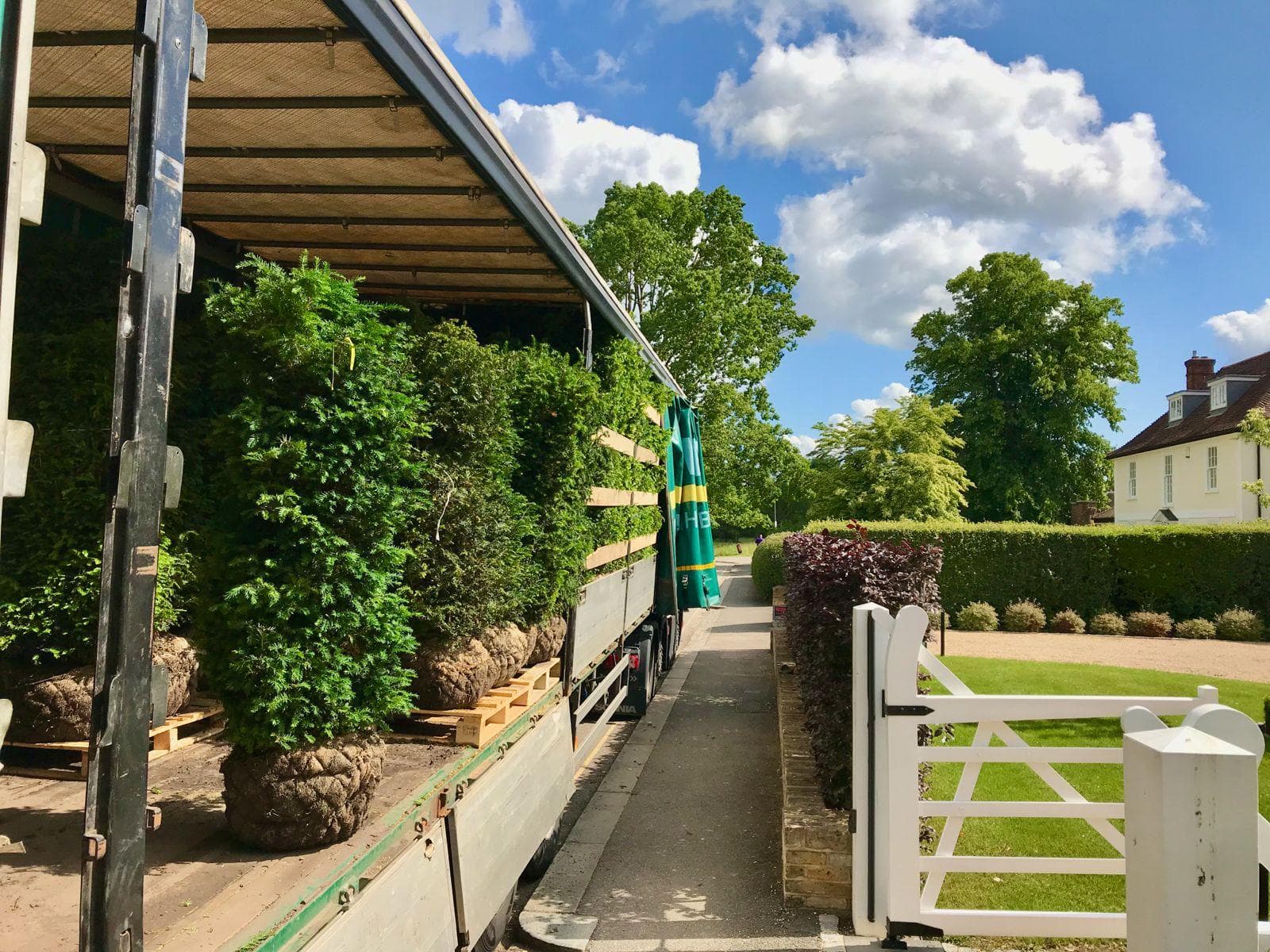 Instant hedge elements ready for delivery at Hedgeworx nursery