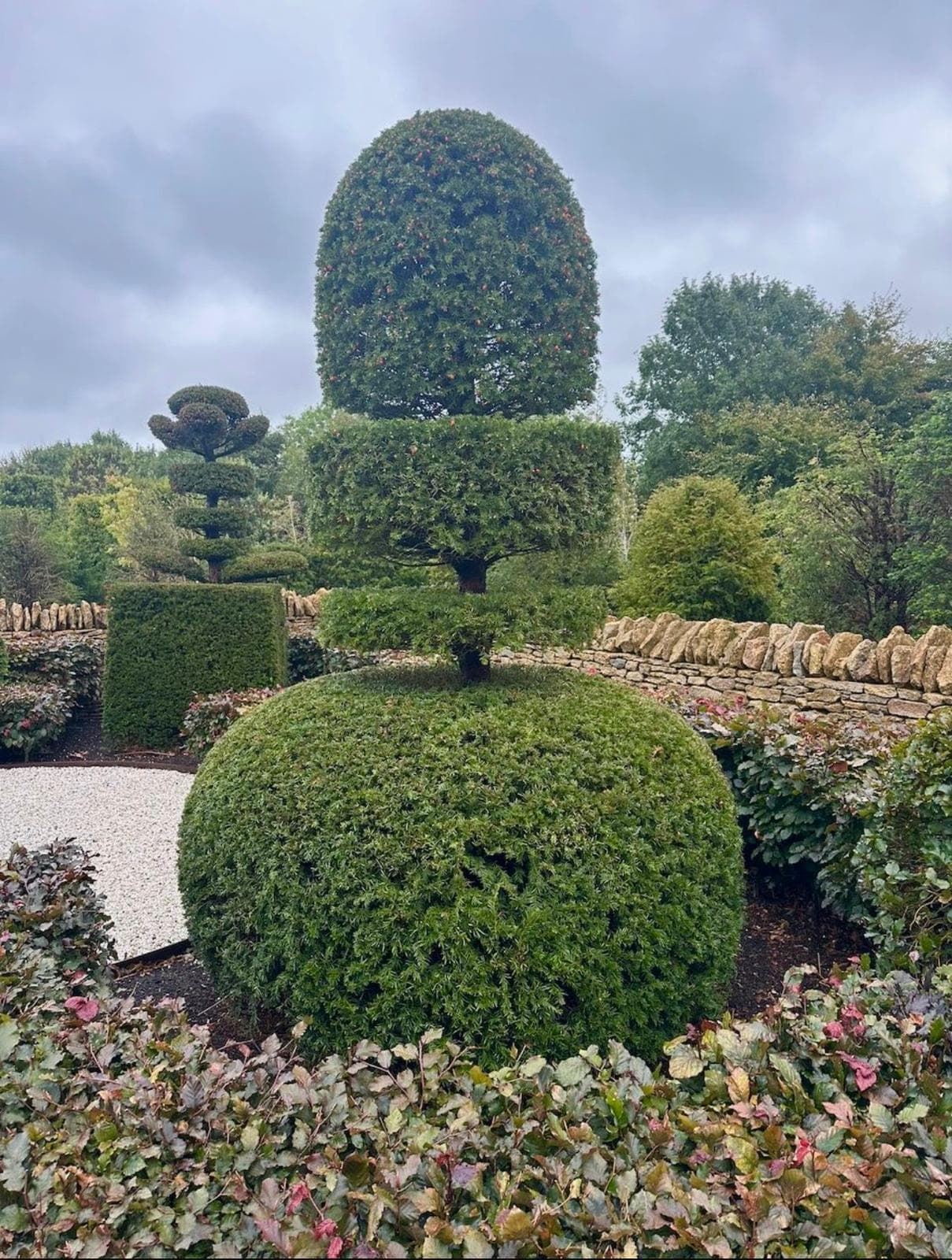 Topiary specimen at Hedgeworx nursery