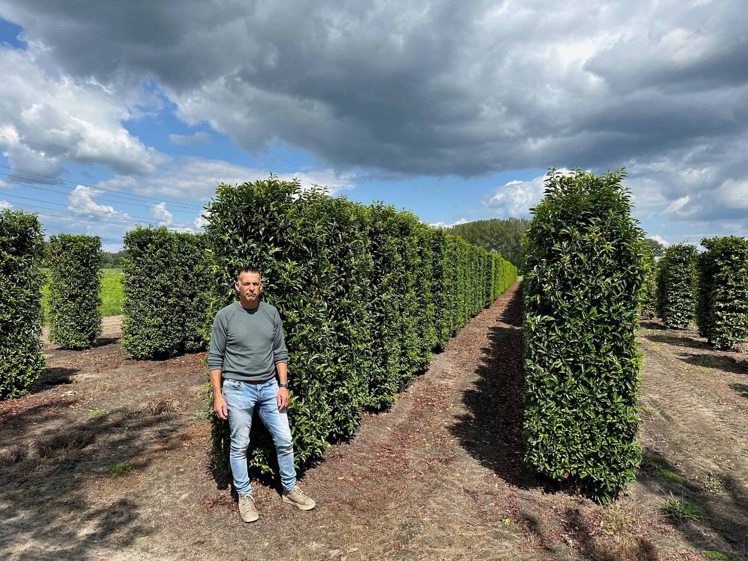 Hedging project by Hedgeworx