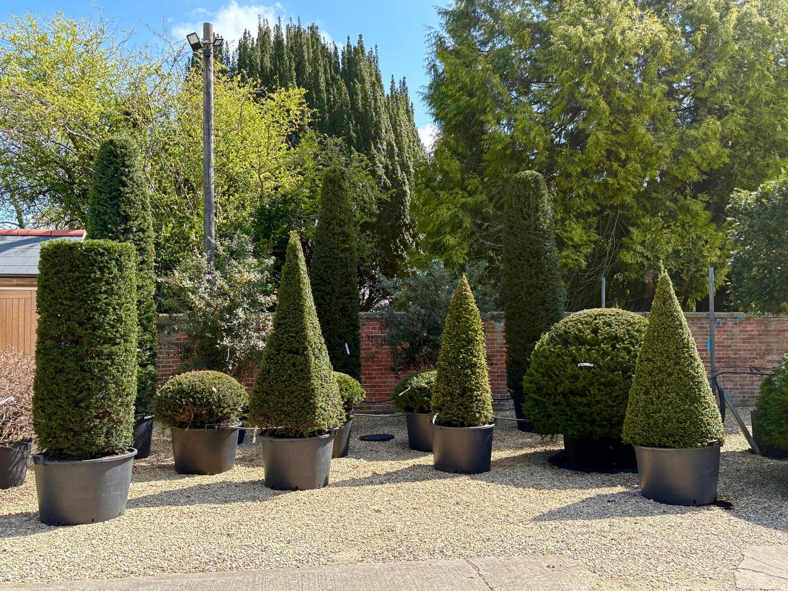 Topiary nursery display collection